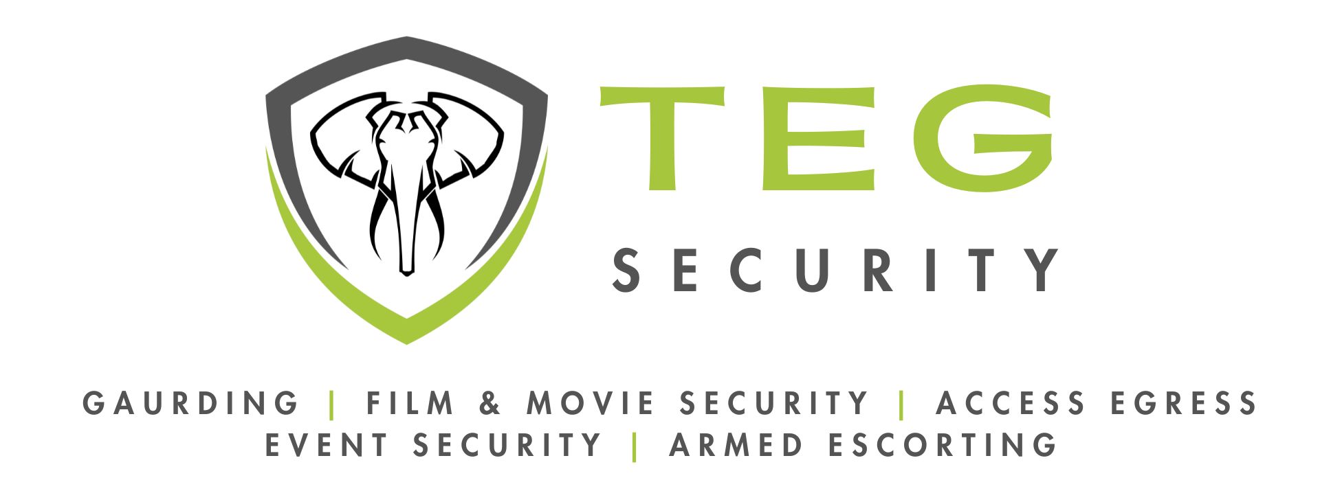 TEG SECURITY
